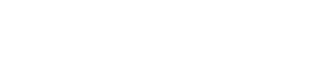 Digilytics